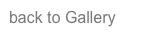 back to Gallery